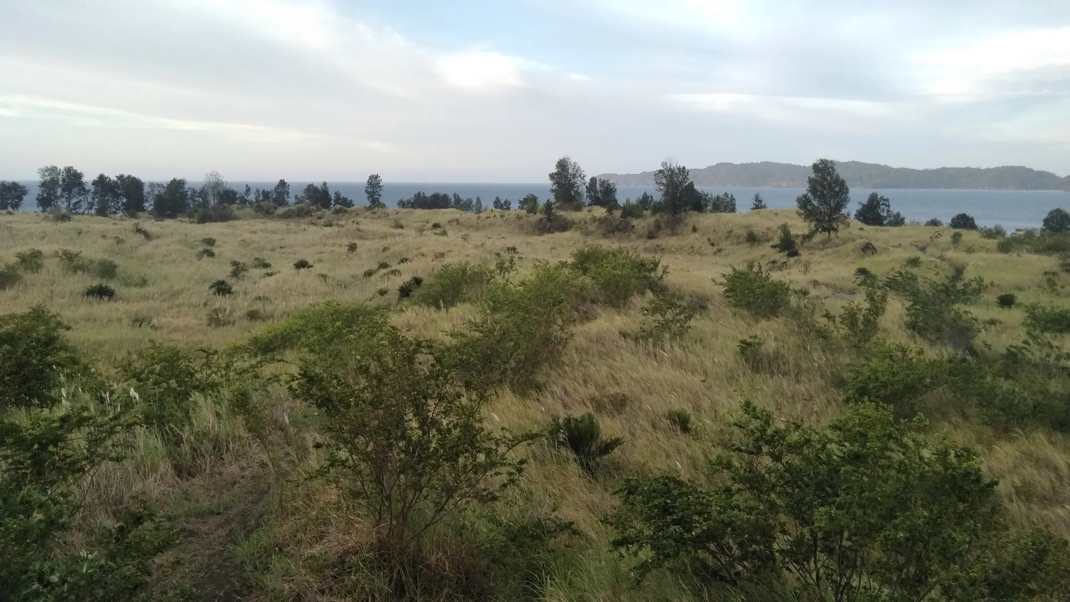 Hamparan lava Batu Angus — sisa letusan Gunung Tangkoko 1801.