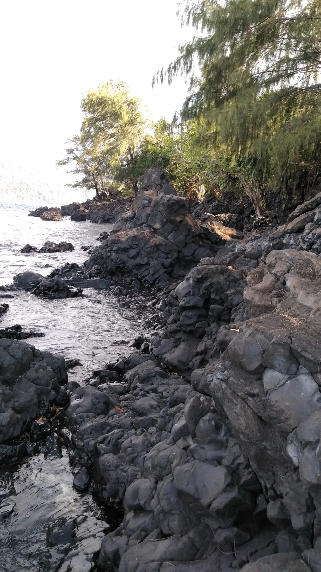 Pantai berbatu di kawasan lava Batu Angus.